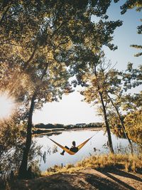 Man sitting on hammock amidst trees against lake