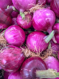 Full frame shot of purple for sale at market