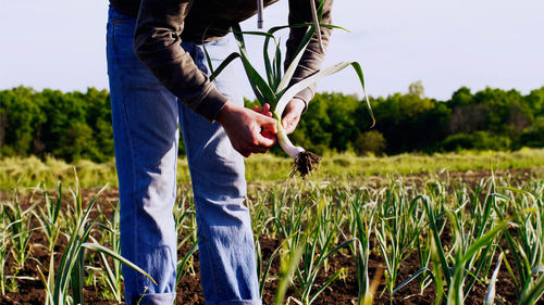 Midsection of farmer working at farm