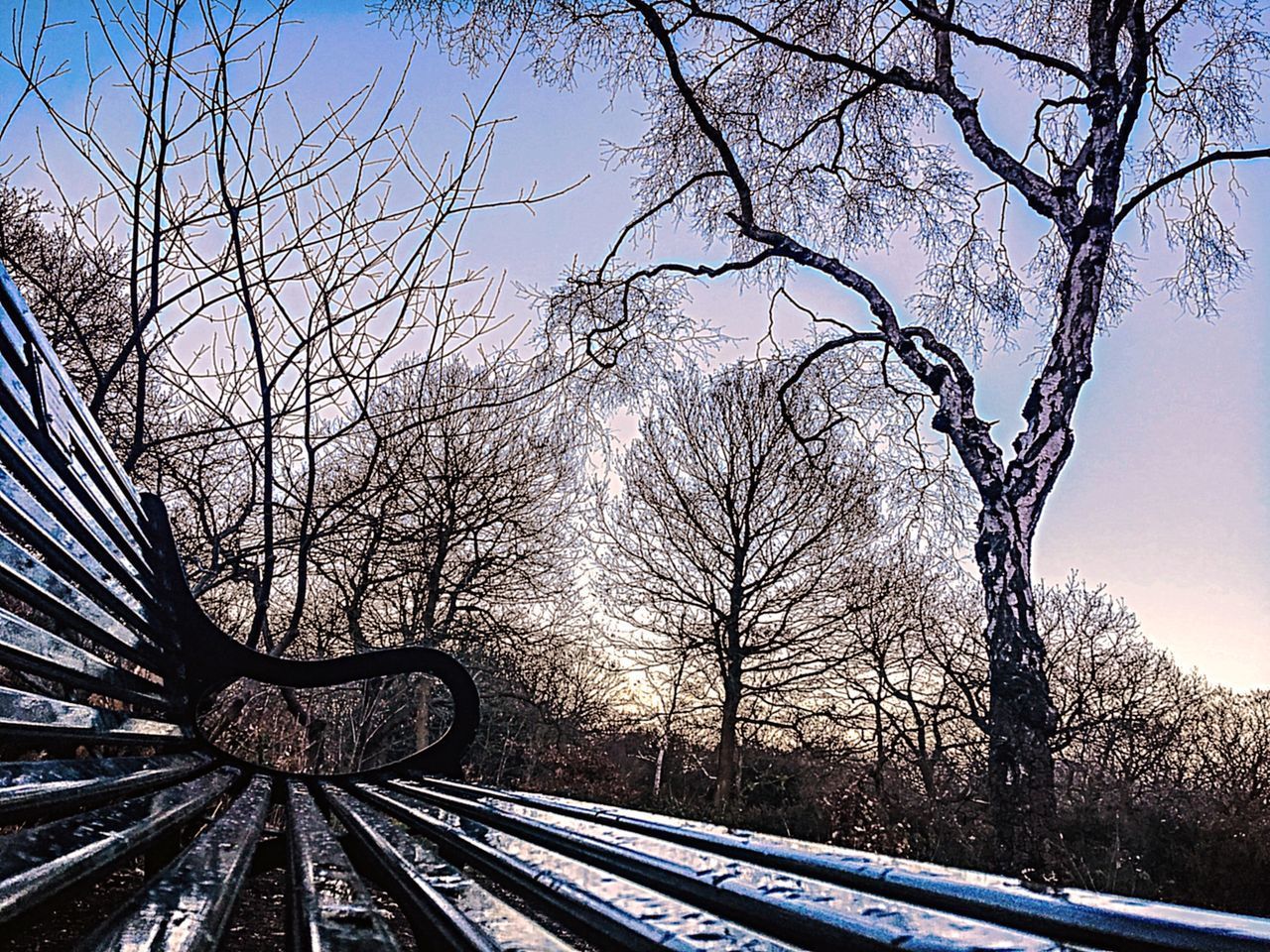 RAILROAD TRACKS BY BARE TREES AGAINST SKY