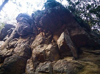Low angle view of rock formation in forest against sky