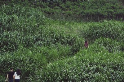 People on grassy field