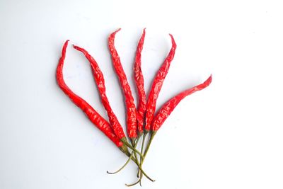 High angle view of red chili pepper against white background