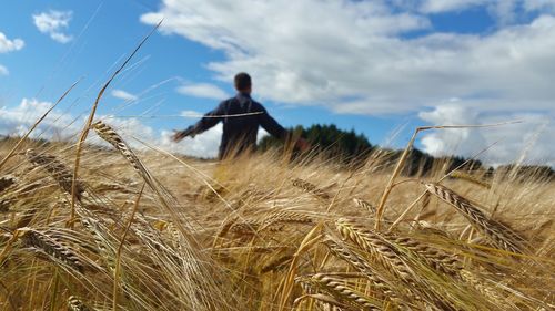 Man working in wheat field against sky