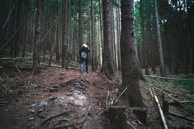 Rear view of woman standing by trees in forest