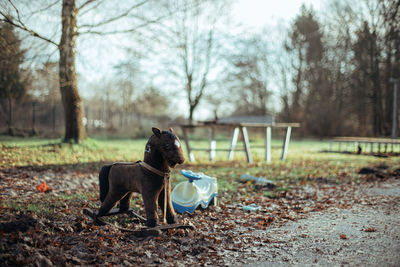 View of an old toy horse on abandoned playground