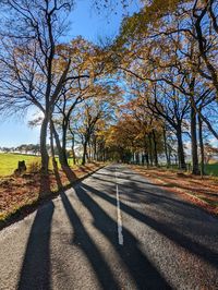 Road amidst trees in park during autumn