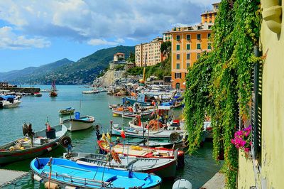 Boats in harbor