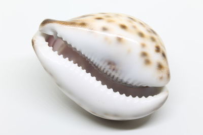 Close up of white background