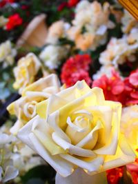 Close-up of rose bouquet