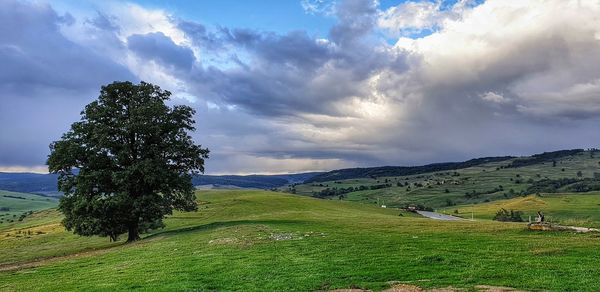 Scenic view of landscape against sky