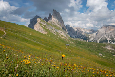 Scenic view of grassy field against cloudy sky