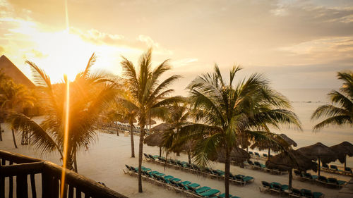 Palm trees by swimming pool against sky during sunset