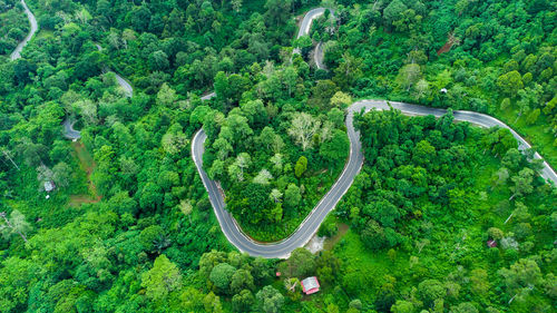 High angle view of road amidst trees