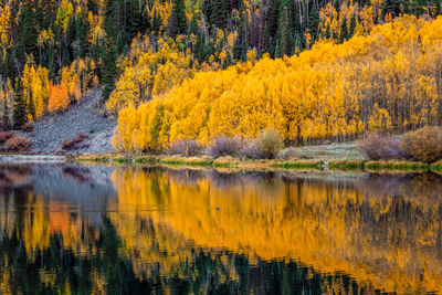 Scenic view of lake in forest during autumn