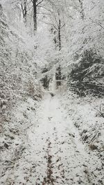 Full frame shot of water