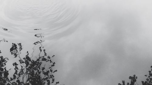 Low angle view of cloudy sky