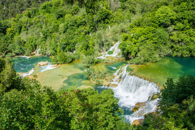 High angle view of trees by water