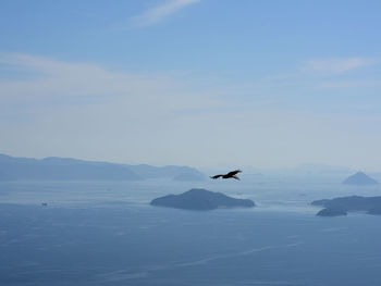 Bird flying over mountain against sky