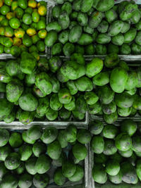 Full frame shot of fruits at market