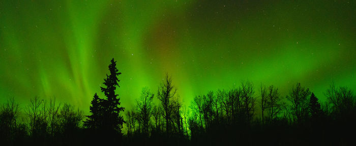 Northern lights, beautiful green colour