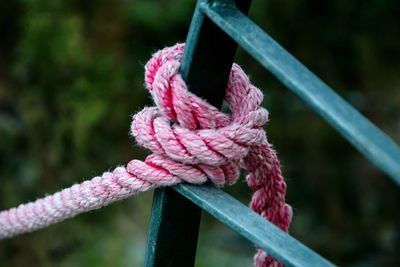 Close-up of rope tied on pink ropes