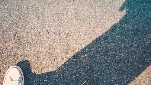 Cropped image of person with shadow on asphalt