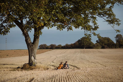 Trees on field against sky