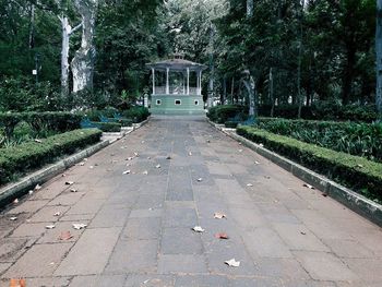 Footpath amidst trees in park