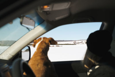 Woman and dog looking through car window