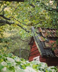Low angle view of built structure against trees