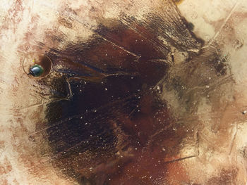 Close-up of water