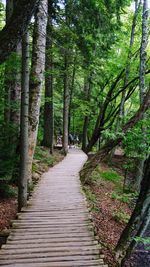 Plitivice lakes