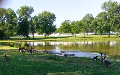 View of lake with trees in background