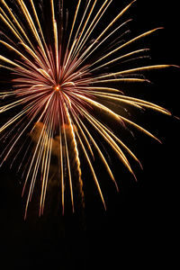 Low angle view of firework display