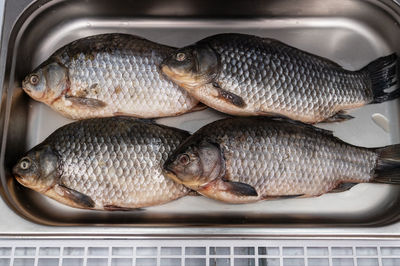 Close-up of fish on barbecue grill