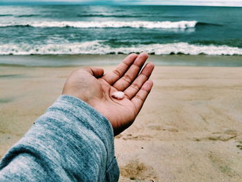 Cropped hand holding seashell at beach