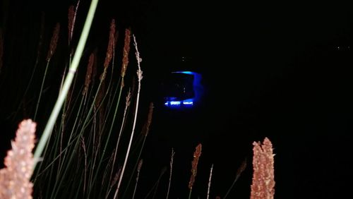 Close-up of illuminated light trail at night