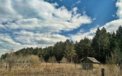 Trees on landscape against sky