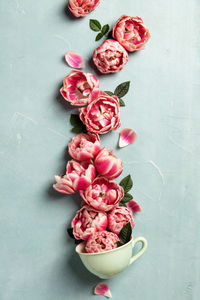 High angle view of pink roses on table