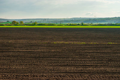 Scenic view of field against sky