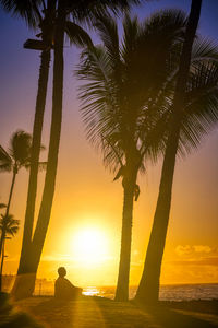 Silhouette palm trees at beach during sunset