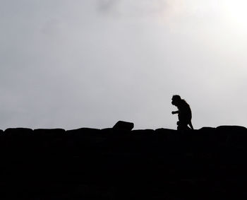 Silhouette monkey on top of roof against clear sky