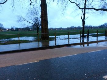 Empty road along bare trees