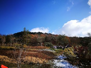 Scenic view of landscape against blue sky