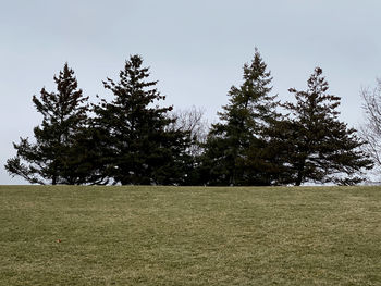 Trees on field against sky