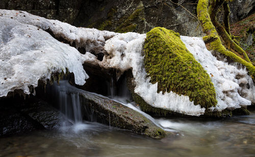 Scenic view of waterfall