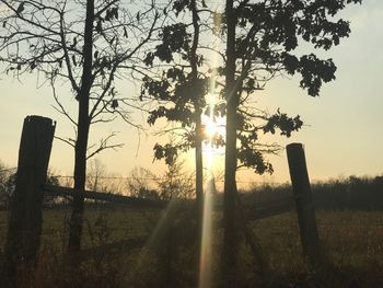 Silhouette trees on field against sky at sunset