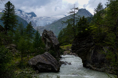 Babbling brook at the foot of the glacier