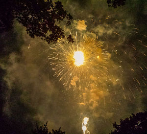 Reflection of trees in water at night